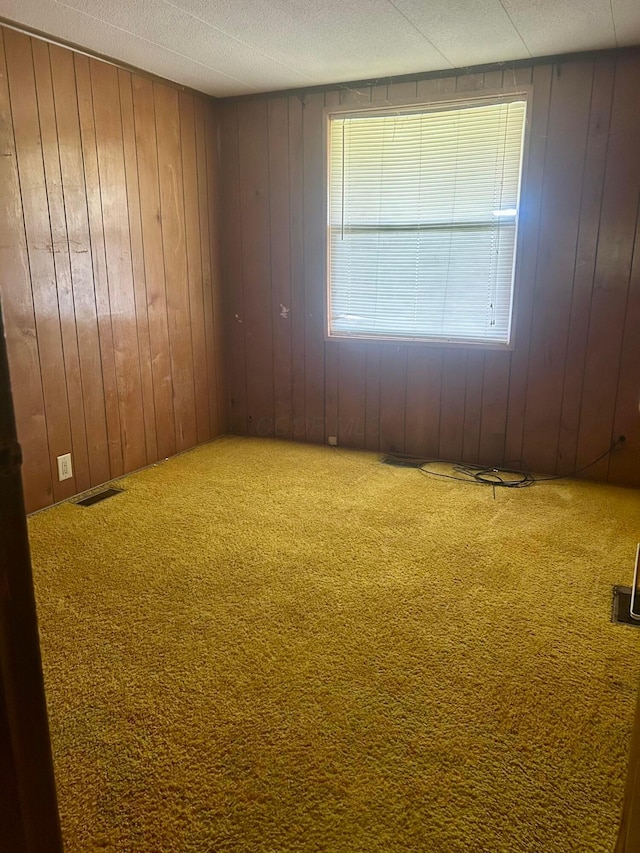 3617 Waugh Rd, Frankfort, OH 45628 - spare room with carpet and wood walls
