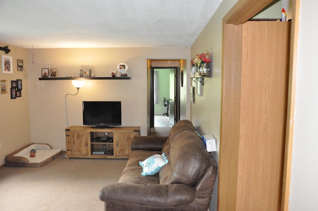 6051 E Clinton St, Albany, OH 45710 - view of carpeted living room