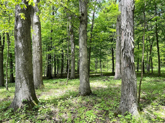 12929 Pleasant Valley Rd NE, Utica, OH 43080