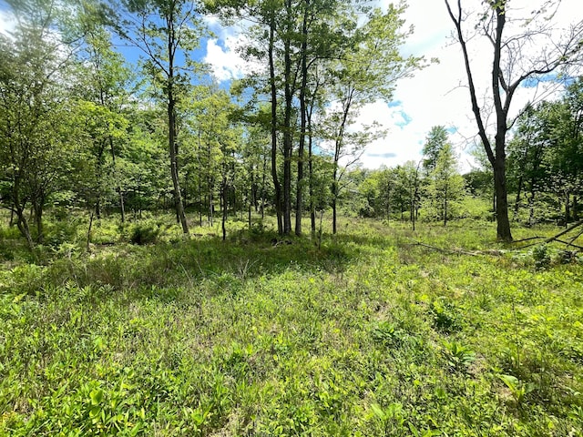 12929 Pleasant Valley Rd NE, Utica, OH 43080