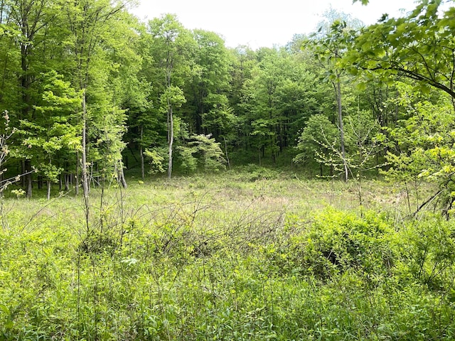 12929 Pleasant Valley Rd NE, Utica, OH 43080