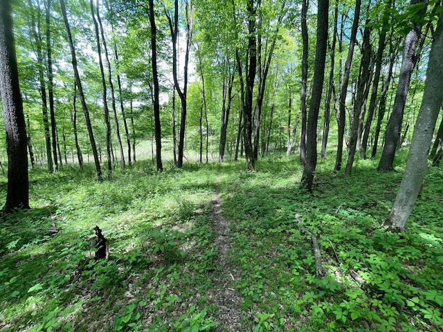 12929 Pleasant Valley Rd NE, Utica, OH 43080