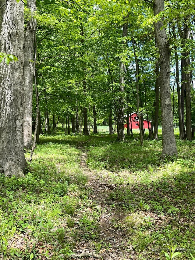 12929 Pleasant Valley Rd NE, Utica, OH 43080