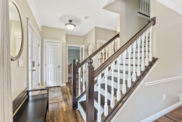 5073 Thornwood Dr, Westerville, OH 43082 - entrance foyer with dark wood-style floors, baseboards, stairs, and crown molding