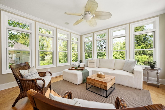 504 W Orange Rd, Delaware, OH 43015 - sunroom / solarium with baseboards, crown molding, and wood finished floors