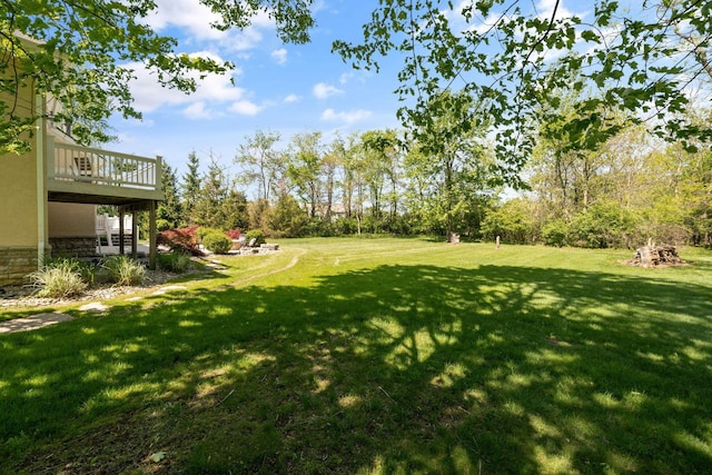 504 W Orange Rd, Delaware, OH 43015 - view of grassy yard