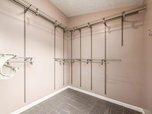 1520 Dickson Dr, Columbus, OH 43228 - walk in closet featuring carpet flooring