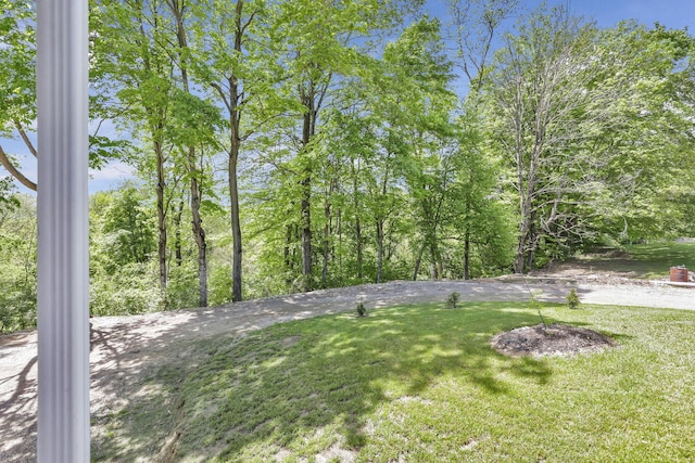 7205 W Grubb Rd NE, Thornville, OH 43076 - view of grassy yard