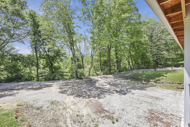 7205 W Grubb Rd NE, Thornville, OH 43076 - view of yard featuring a forest view