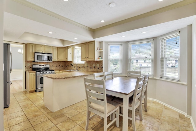 kitchen featuring stainless steel appliances, crown molding, healthy amount of natural light, tasteful backsplash, and a sink