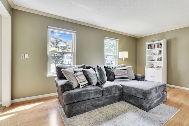 living area featuring light wood finished floors, crown molding, baseboards, and a textured ceiling