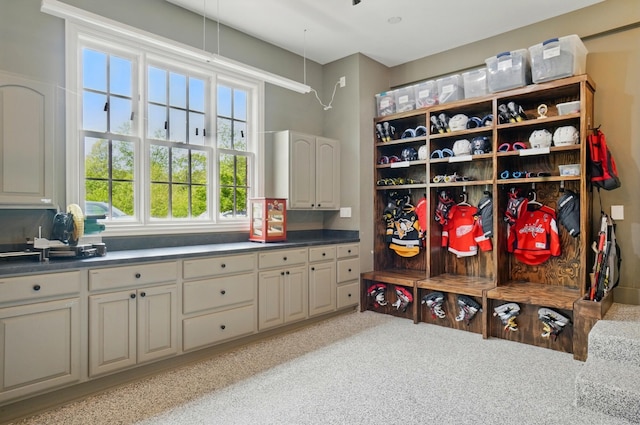 8070 Harriott Rd, Dublin, OH 43017 - mudroom with light colored carpet and plenty of natural light