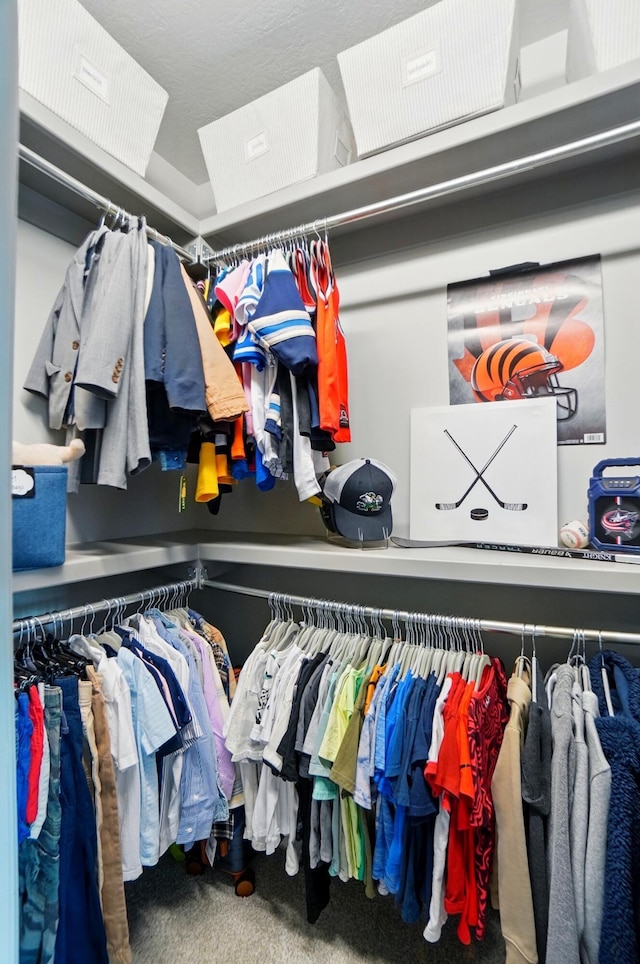 8070 Harriott Rd, Dublin, OH 43017 - walk in closet with carpet