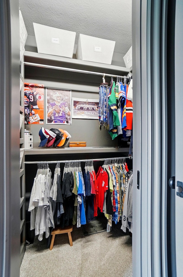 8070 Harriott Rd, Dublin, OH 43017 - view of closet