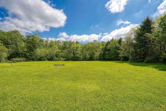 view of grassy yard featuring a wooded view