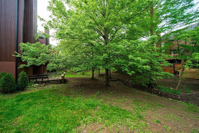 view of green lawn