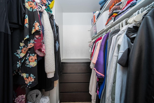 view of walk in closet