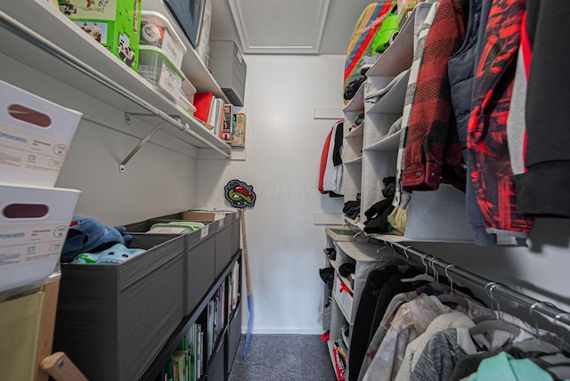 walk in closet featuring carpet and attic access