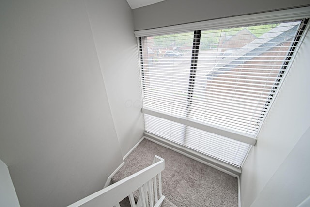 detailed view of carpet flooring and baseboards