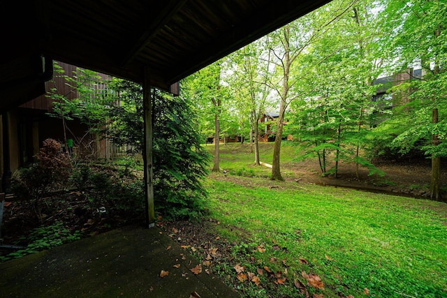 view of green lawn