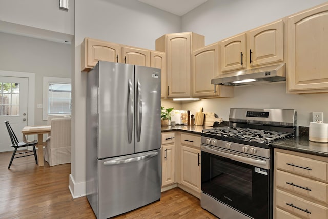 411 Reinhard Ave, Columbus, OH 43206 - kitchen featuring stainless steel appliances, under cabinet range hood, light wood-type flooring, and light brown cabinets