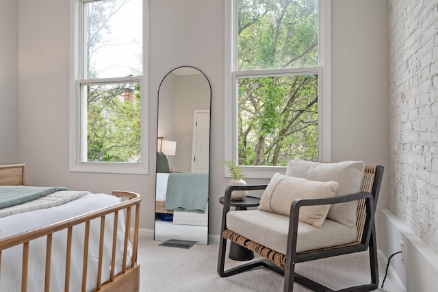 411 Reinhard Ave, Columbus, OH 43206 - bedroom with multiple windows and carpet