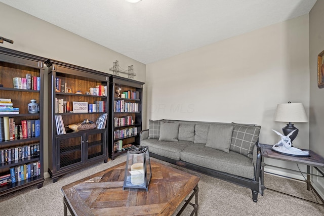 2557 Coltsbridge Dr, Lewis Center, OH 43035 - living area with carpet floors