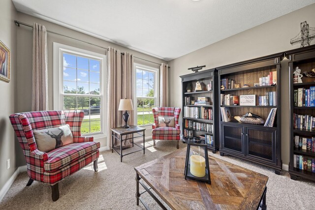 2557 Coltsbridge Dr, Lewis Center, OH 43035 - living area featuring carpet floors and baseboards