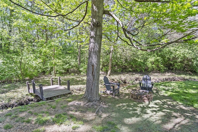 2557 Coltsbridge Dr, Lewis Center, OH 43035 - view of yard featuring a forest view