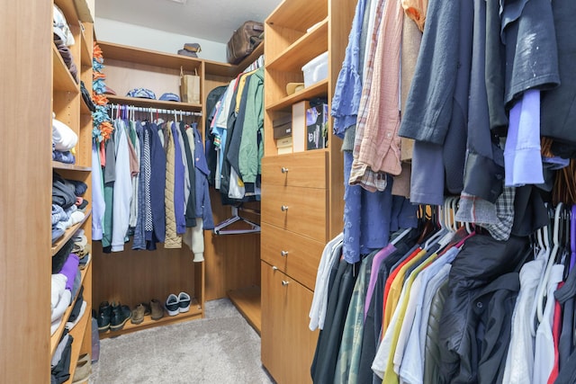 spacious closet featuring carpet