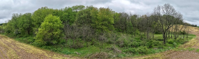 0 State Route 79, Warsaw, OH 43844