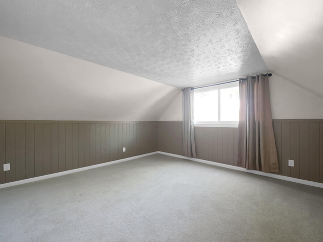 4838 Calvin Dr, Columbus, OH 43227 - bonus room with lofted ceiling, carpet, a textured ceiling, and wooden walls
