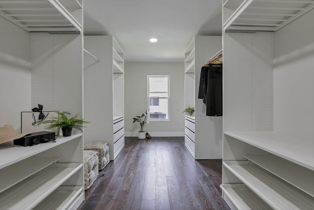 2727 Westmont Blvd, Columbus, OH 43221 - walk in closet with dark wood-type flooring
