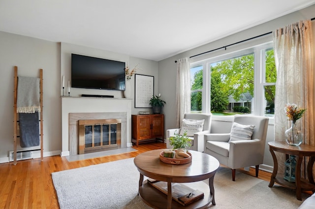 living room with wood finished floors and a fireplace