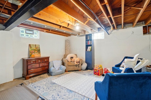 below grade area with plenty of natural light