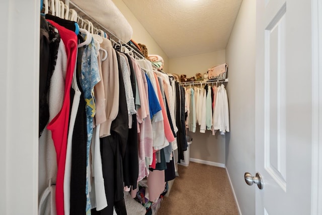 spacious closet featuring carpet floors