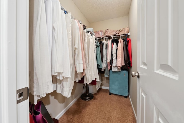 spacious closet featuring carpet