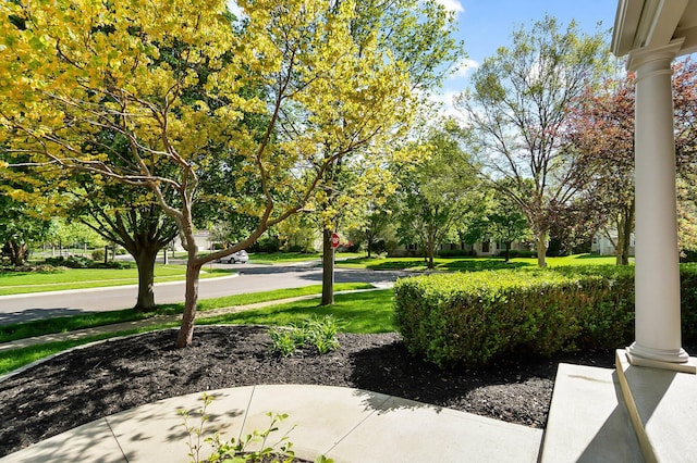 6415 Green Stone Loop, Dublin, OH 43016 - view of grassy yard