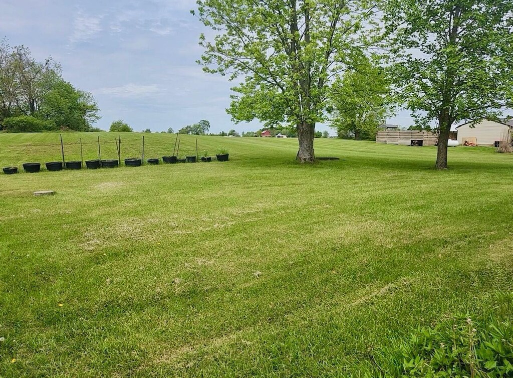 7875 Green Mill Rd, Johnstown, OH 43031 - view of grassy yard