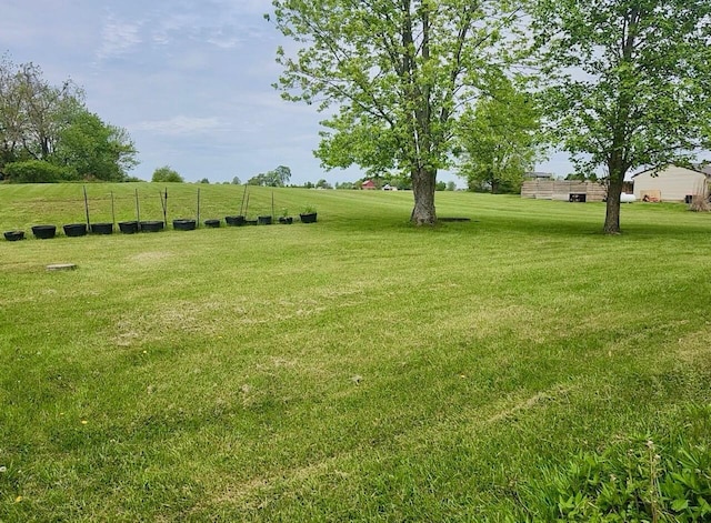 7875 Green Mill Rd, Johnstown, OH 43031 - view of grassy yard