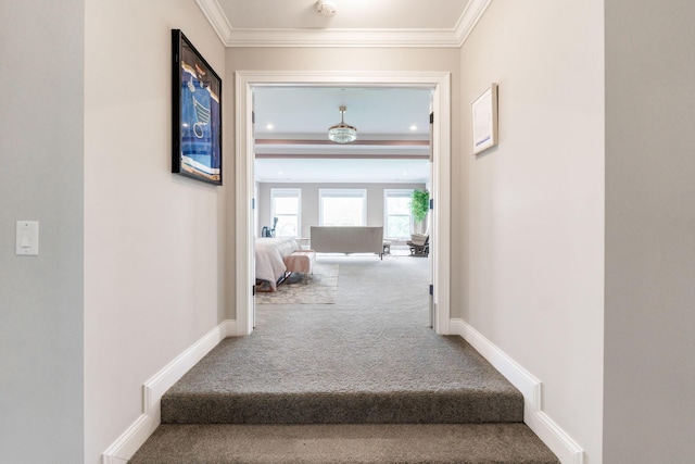 6540 Marshview Dr, Hilliard, OH 43026 - hallway with carpet flooring, crown molding, and baseboards