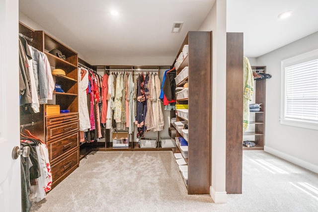 6540 Marshview Dr, Hilliard, OH 43026 - walk in closet with carpet