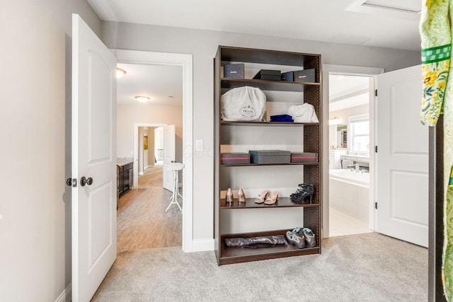 6540 Marshview Dr, Hilliard, OH 43026 - walk in closet featuring carpet floors