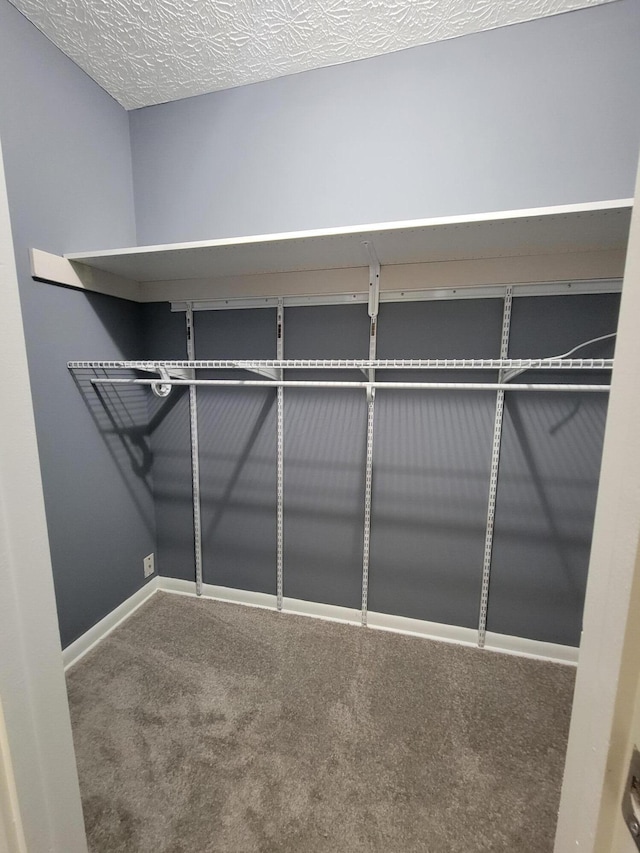 1989 Torchwood Dr, Columbus, OH 43229 - walk in closet featuring carpet flooring