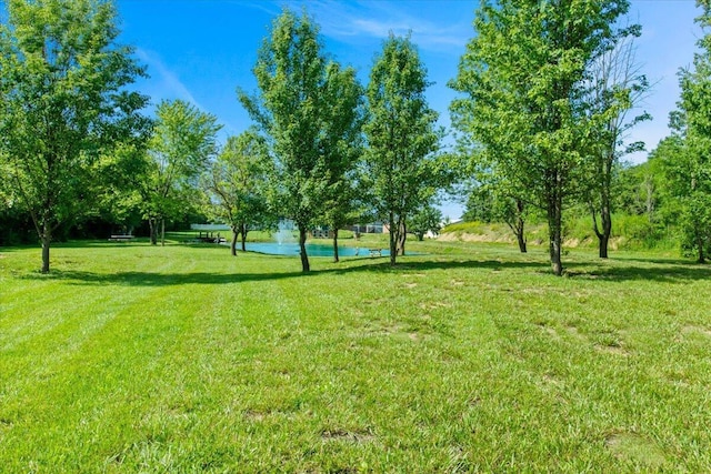 10164 Busey Rd, Canal Winchester, OH 43110 - view of grassy yard with a water view