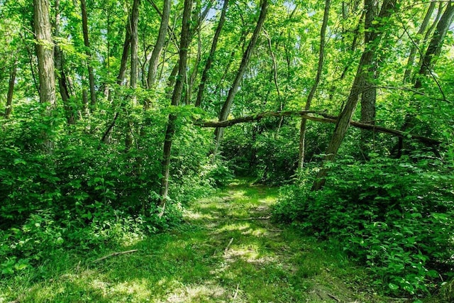 10164 Busey Rd, Canal Winchester, OH 43110 - view of tree filled area
