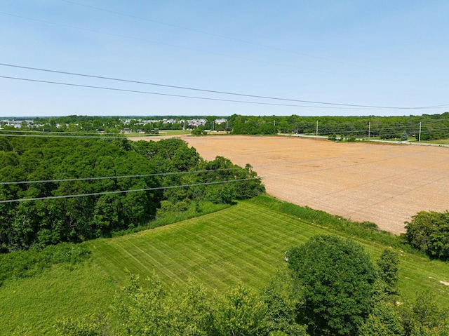 10164 Busey Rd, Canal Winchester, OH 43110 - view of yard with a view of rural / pastoral area