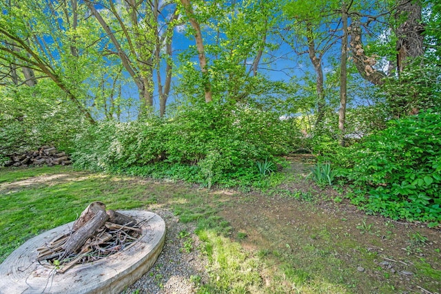 view of yard with an outdoor fire pit