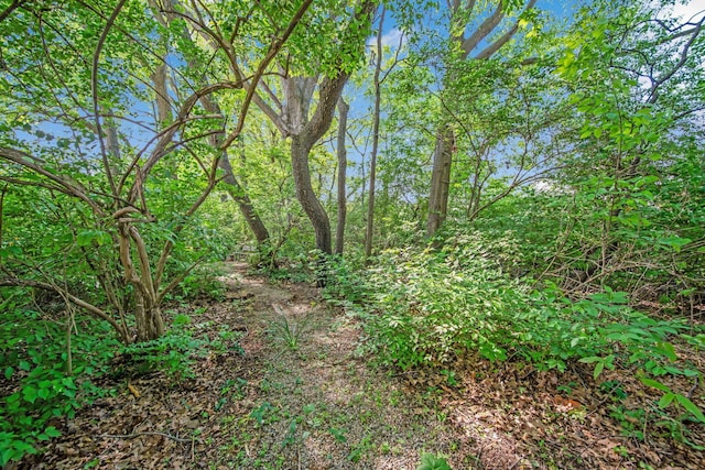 view of undeveloped land