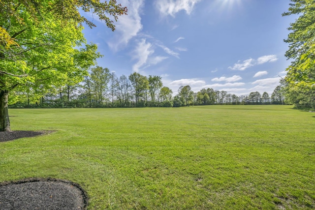 3720 Hyatts Rd, Powell, OH 43065 - view of grassy yard